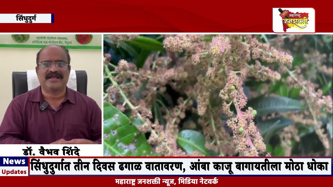 सिंधुदुर्गात तीन दिवस ढगाळ वातावरण, आंबा काजू बागायतीला मोठा धोका