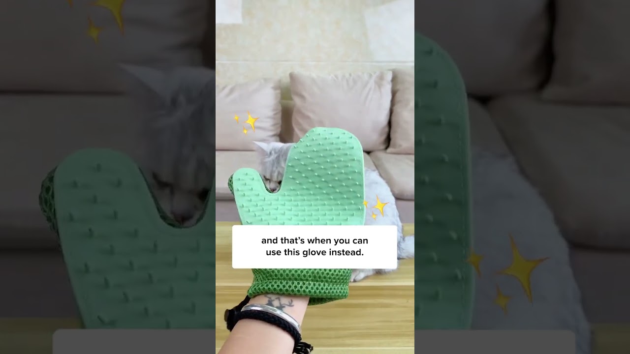 Cats Need To Learn How To Stop Shedding! 😾