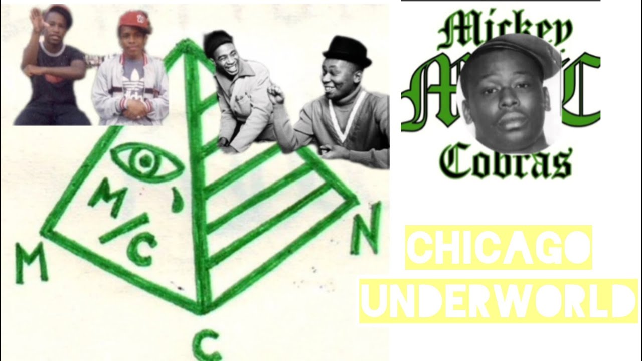 Chicago's Deadliest Gang - The Mickey Cobra's