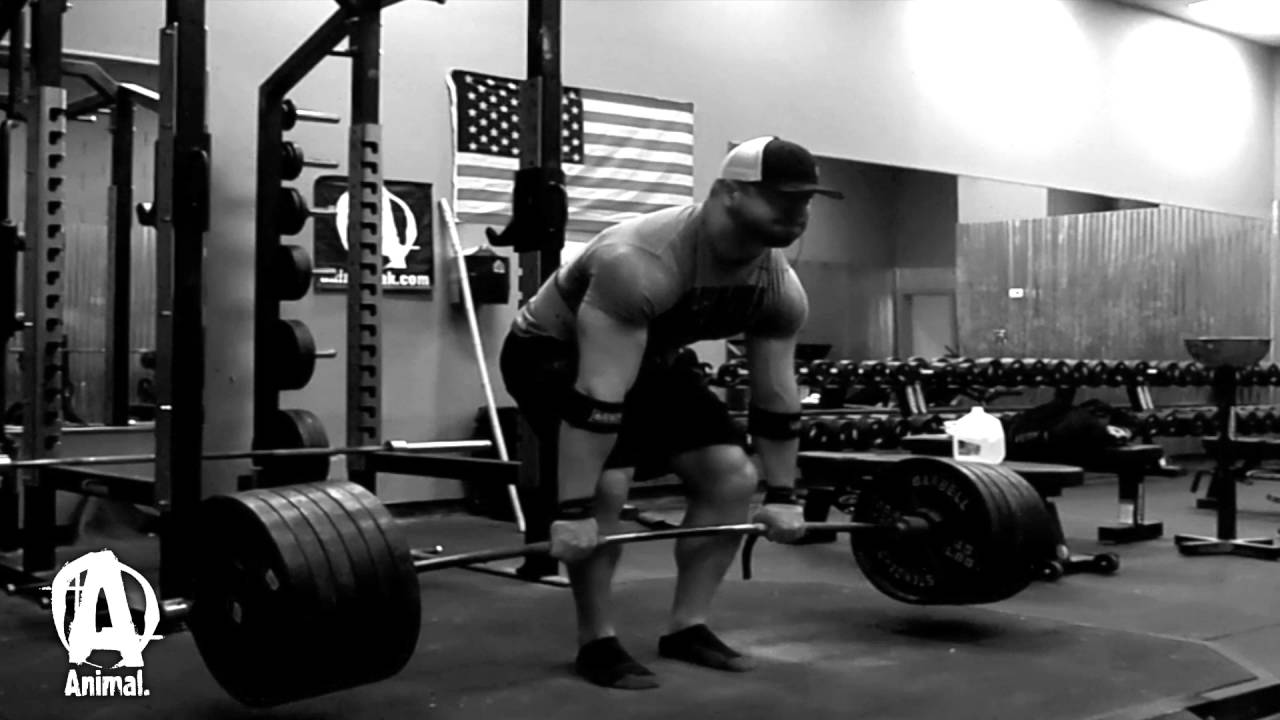The Animal Underground: Pete Rubish, Paused, Fat Grip & Hyper Deads