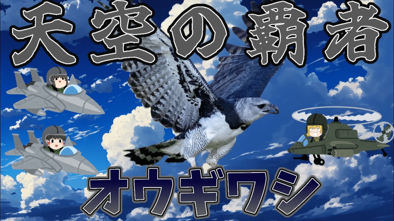 【ゆっくり解説】天空の覇者！オウギワシ