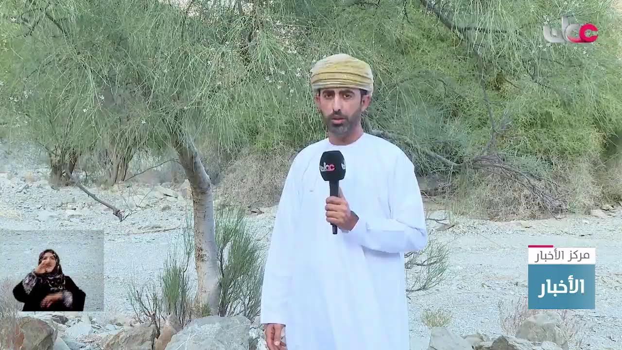 بث مباشر | نشرة أخبار العاشرة مساء