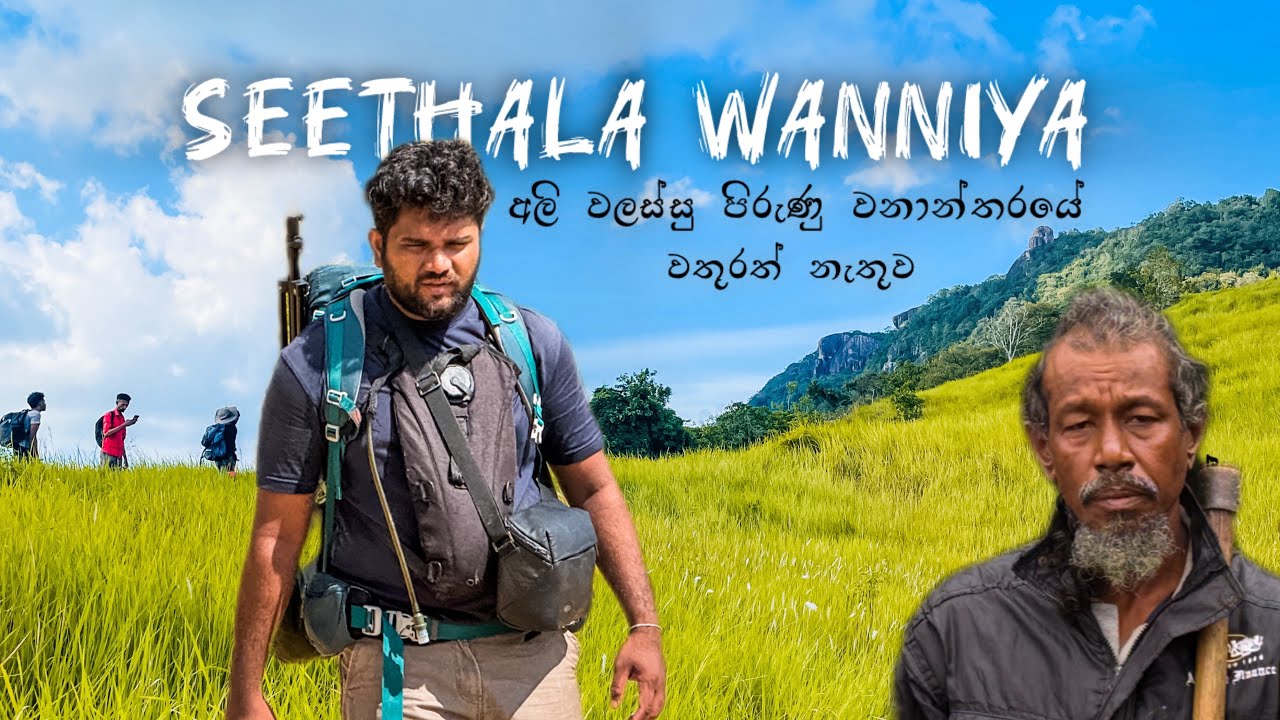 ඇත් පාර දිගේ DryZone ආදි වාසීන් සමග Seethala Wanniya ට🐘 Survival Camp | #travel #explore 