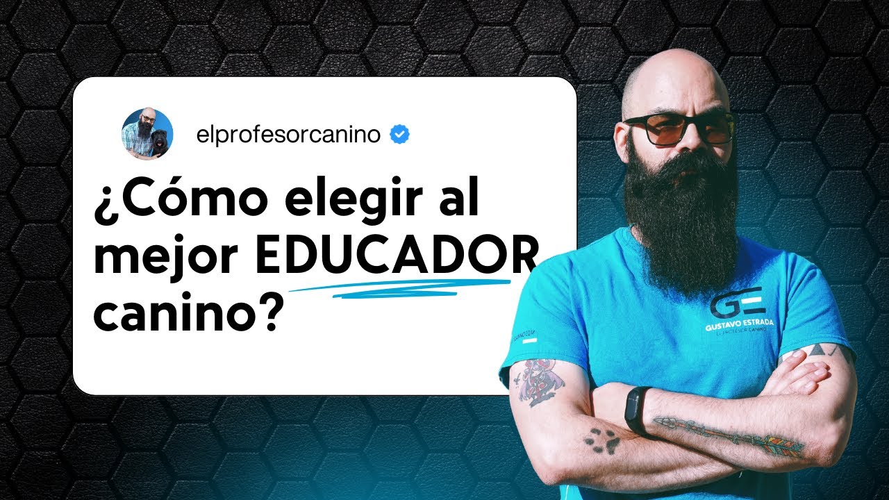 ¿Como elegir al mejor EDUCADOR  canino?