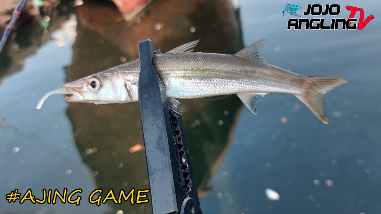 Tiny Softbait but deadly / Ajing Game UAE / Super Ultralight Set up- FishinVlog #64