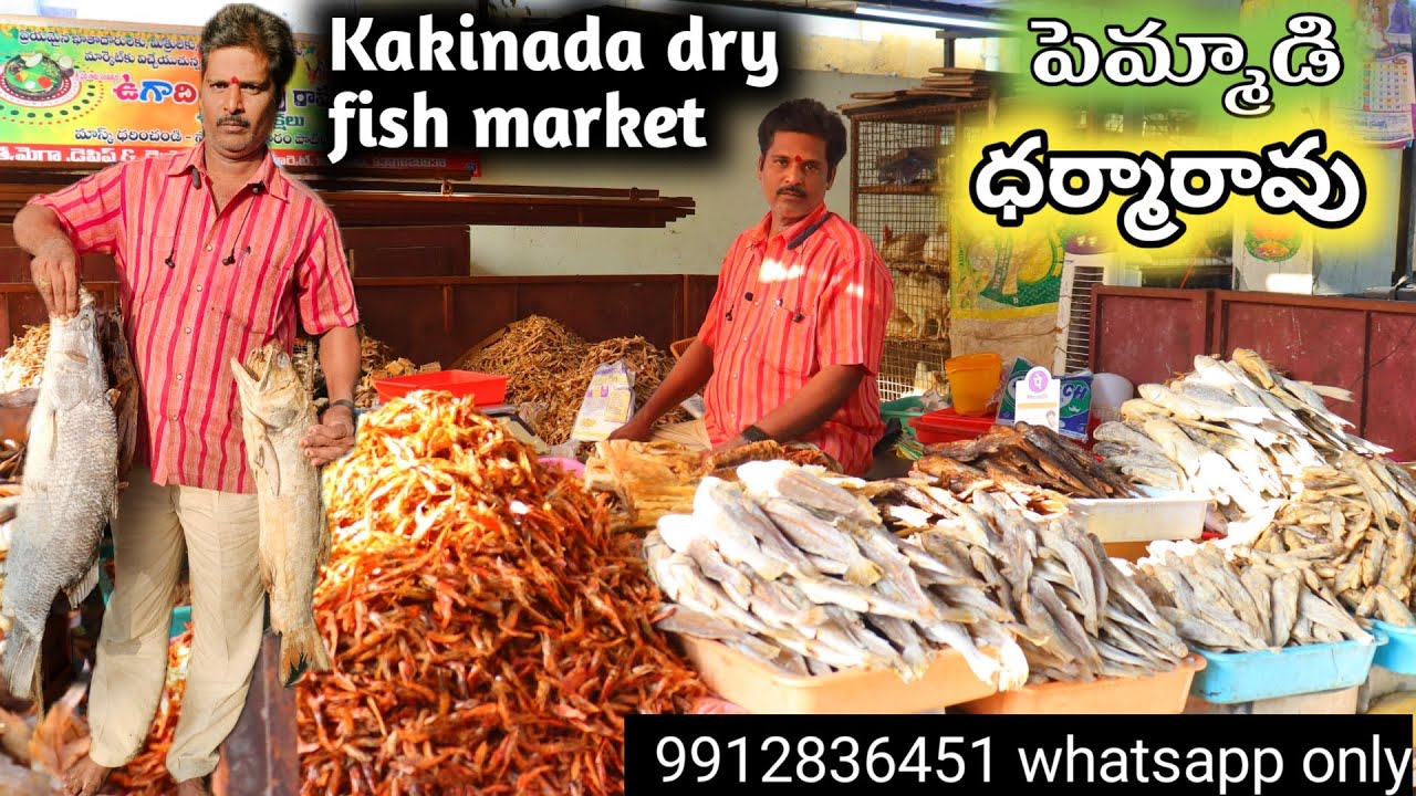 Dry Fish & Dry Prawn Kakinda big Market | ఎండు చేపలు రొయ్యలు అతిపెద్ద మార్కెట్ ఇదే.. 🦐🐟