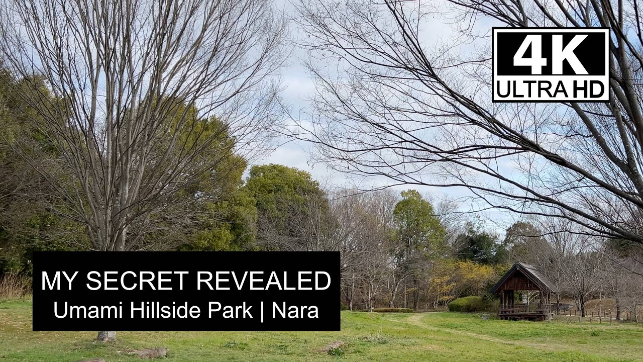 【4K】Peaceful Reading Day at Umami Hillside Park, Nara Japan 馬見丘陵公園で私の一番好きな場所