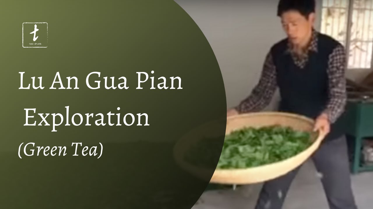 Lu An Gua Pian (Green Tea) Exploration with Tea Drunk