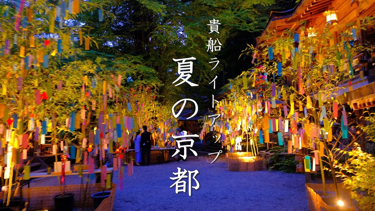 【京都夏の涼】貴船七夕飾り・叡山電車青もみじのトンネル　ライトアップ