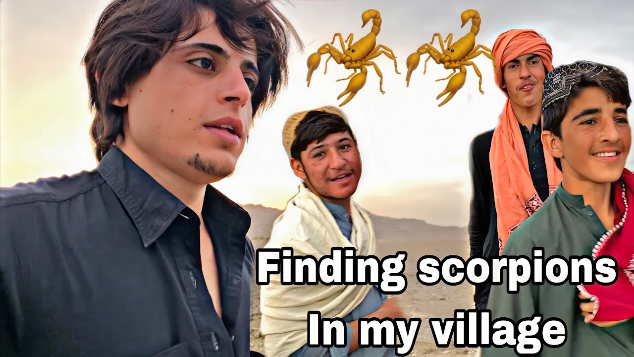 Finding scorpions 🦂in my village Gulistan,Balochistan | land of scorpions ⚠️⛔️