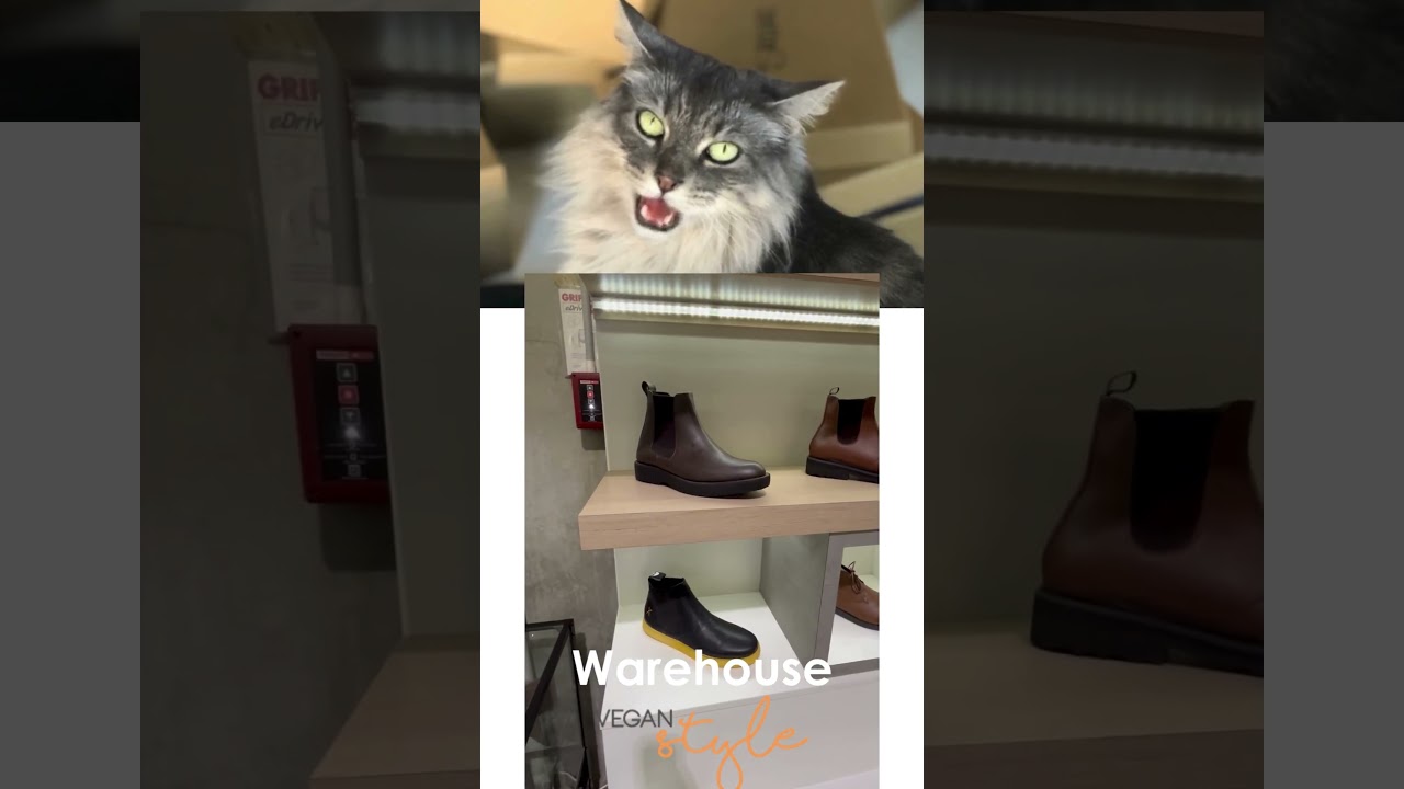 Why Our Vegan Shoe Warehouse Is So Different!
