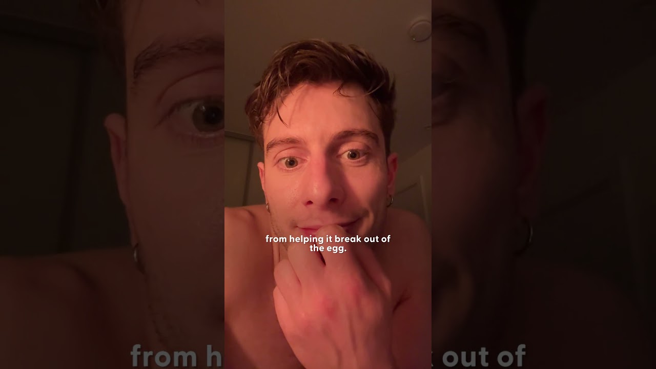 Guy Finds Mysterious Egg And Decides To Hatch It | The Dodo