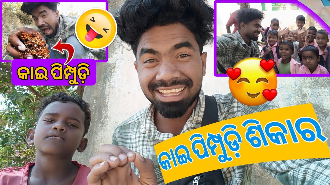 କାଇ ଶିକାର 😄#odia Vlog video😄#omrsambhu #rairangpur 