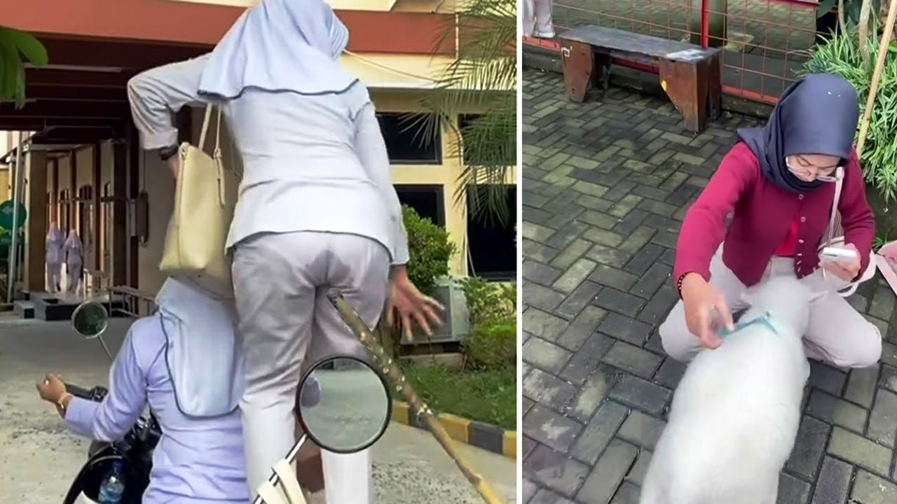 Kelakuan Warga Konoha yang Tak Ada di Prindavan - Random Mau Ketawa Takut Dosa