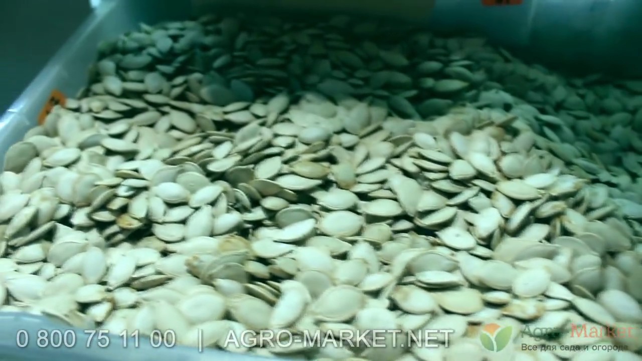 Agro-Market.net | Уважение к каждому клиенту | Онлайн супермаркет для сада и огорода