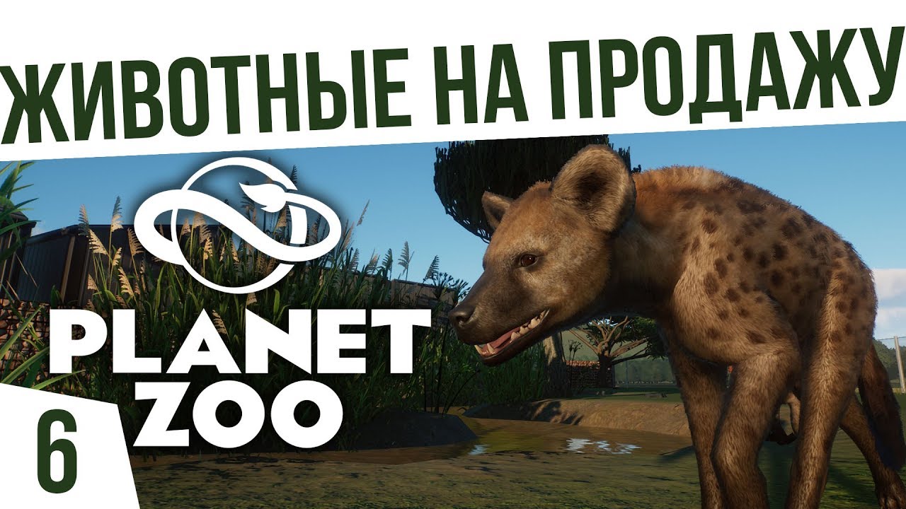 ЖИВОТНЫЕ НА ПРОДАЖУ | #6 Planet Zoo
