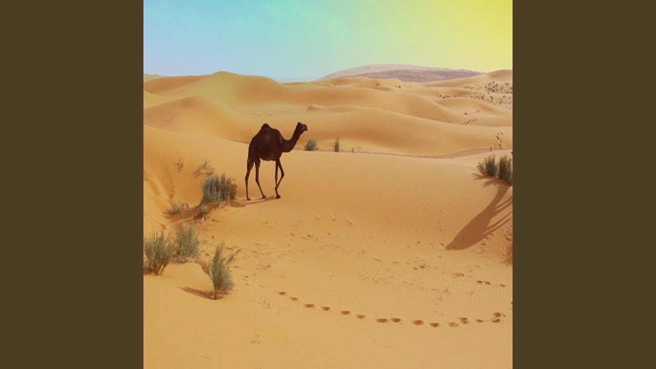 المزن