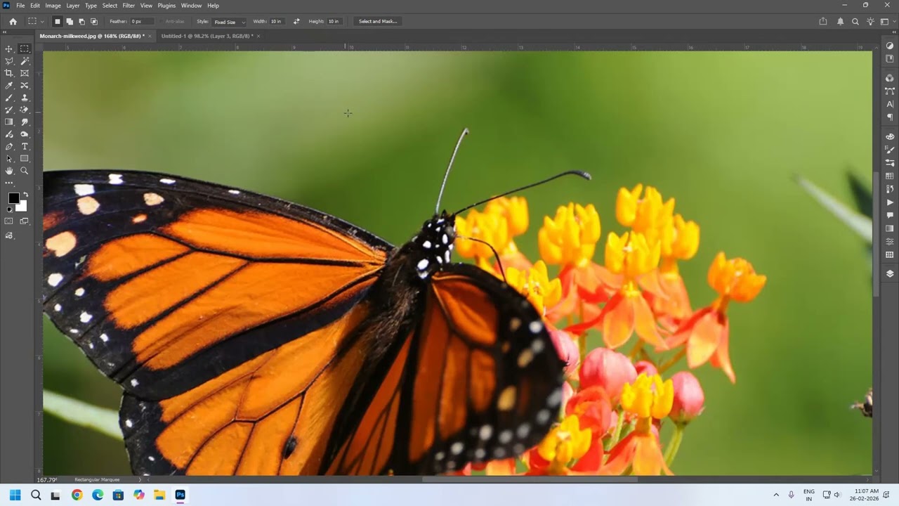 Photoshop (Class-02) | Magic Wand, Lasso & More – Photoshop Selection Tools Class