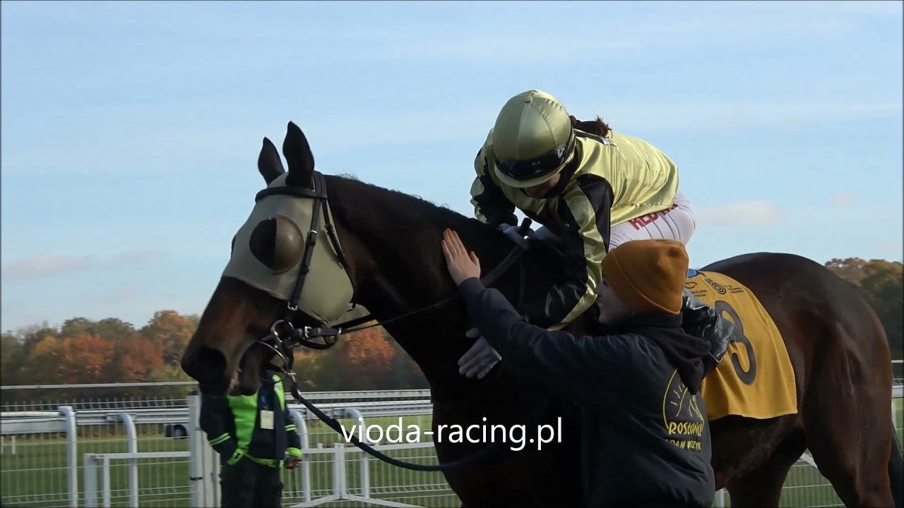 Gon. VI (N. Korabia) - 24.10.2021 - Comin' Through (Fastnet Rock - Mica's Pride)