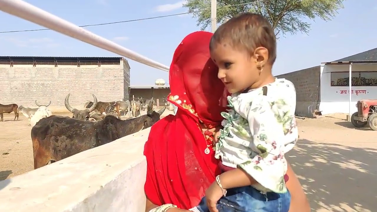karmawas gaushala