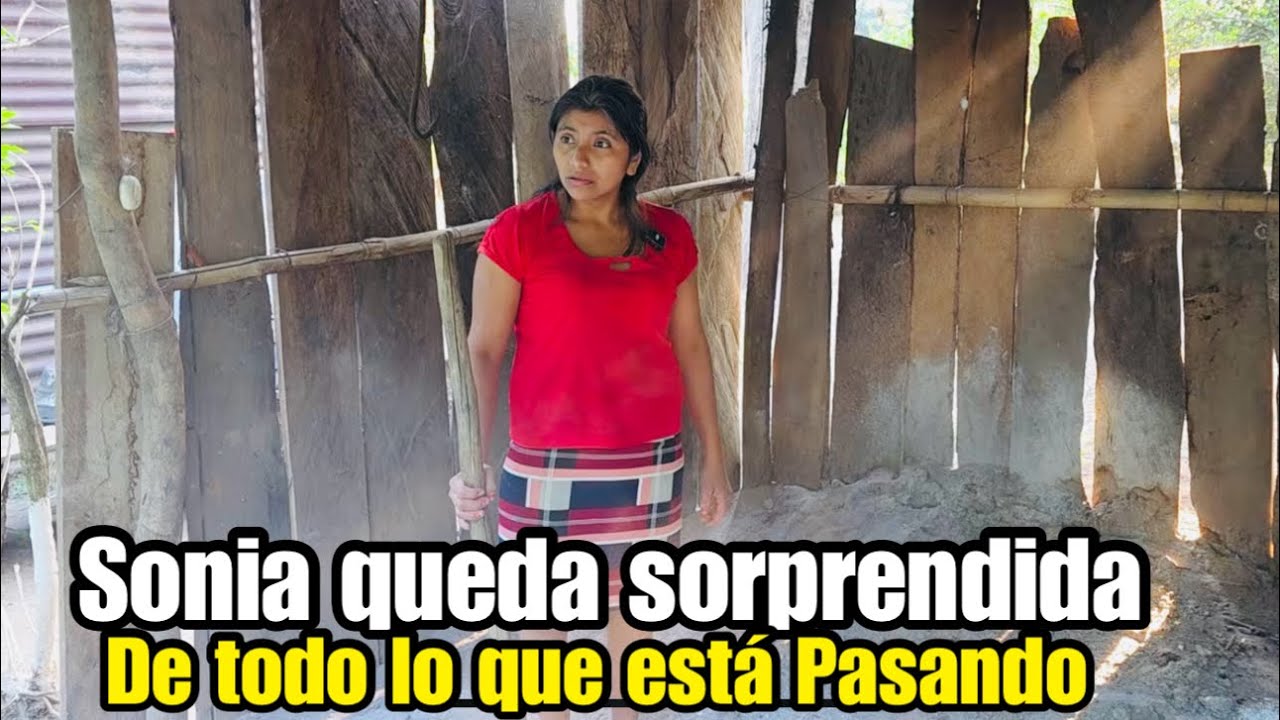 Empezamos a Destruir el Poyeton de Sonia cuál es el Plan?