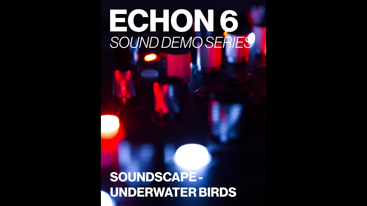 ECHON 6 Demo - Underwater Birds