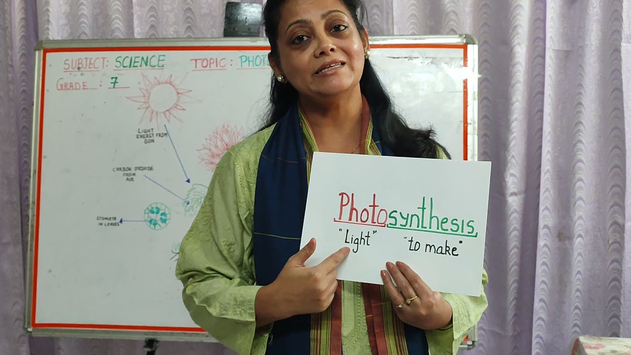 Vedantu demo (photosynthesis)