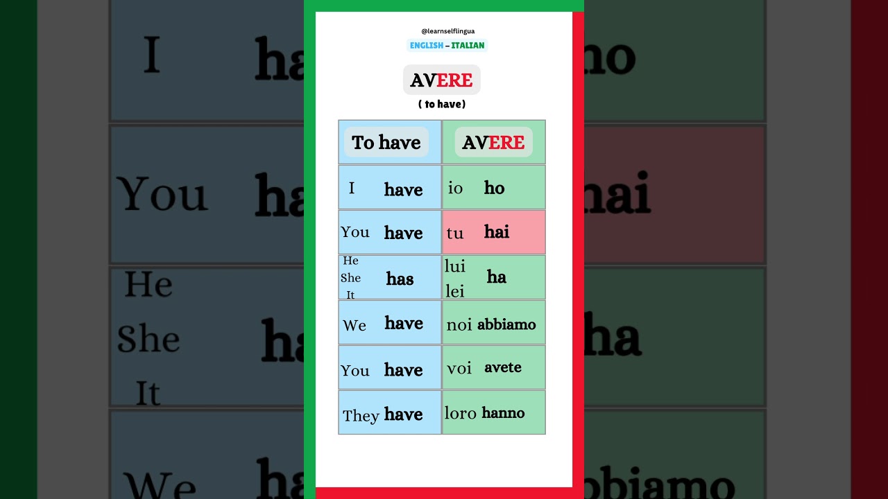 Avere ( to have ) Italian Verb Conjugation #italianlanguage #learnitalian #italiano