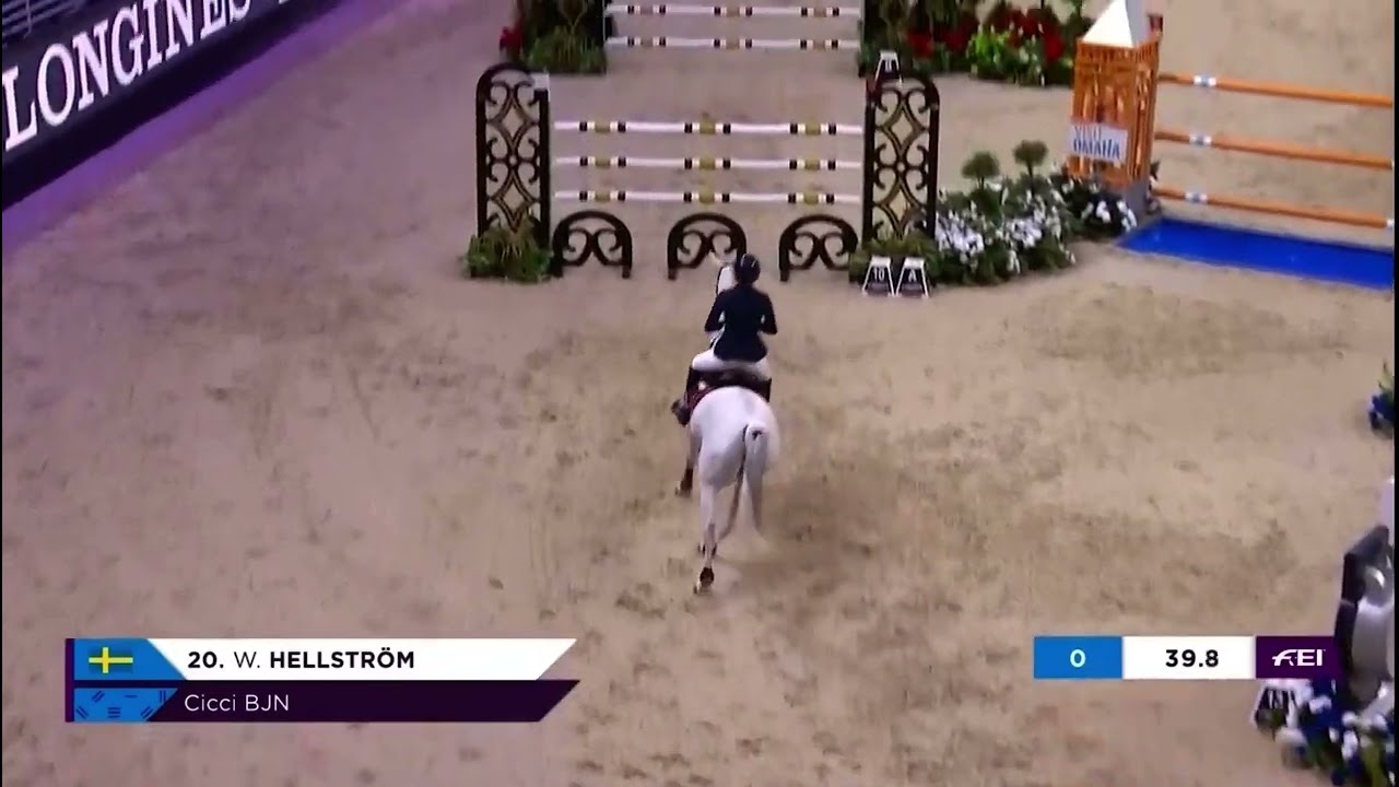 Cicci BJN by Ci Ci Senjor Ask