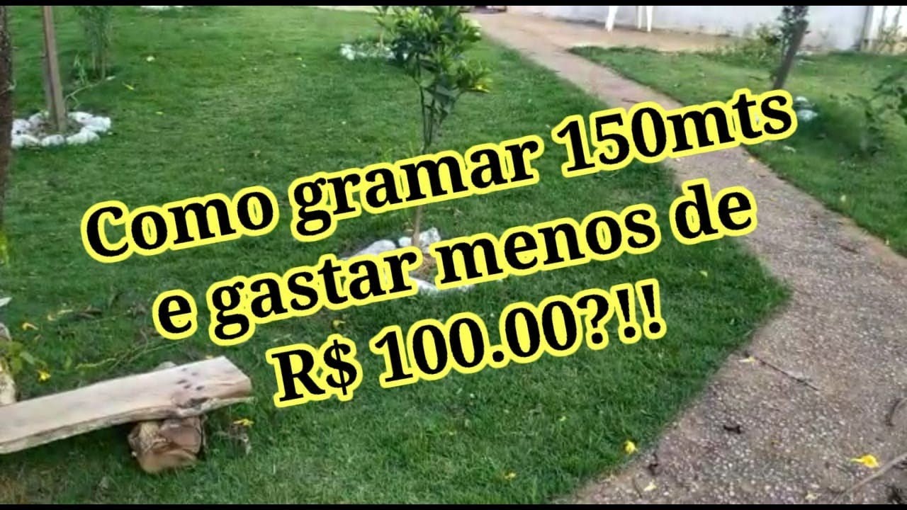 como plantar grama com economia