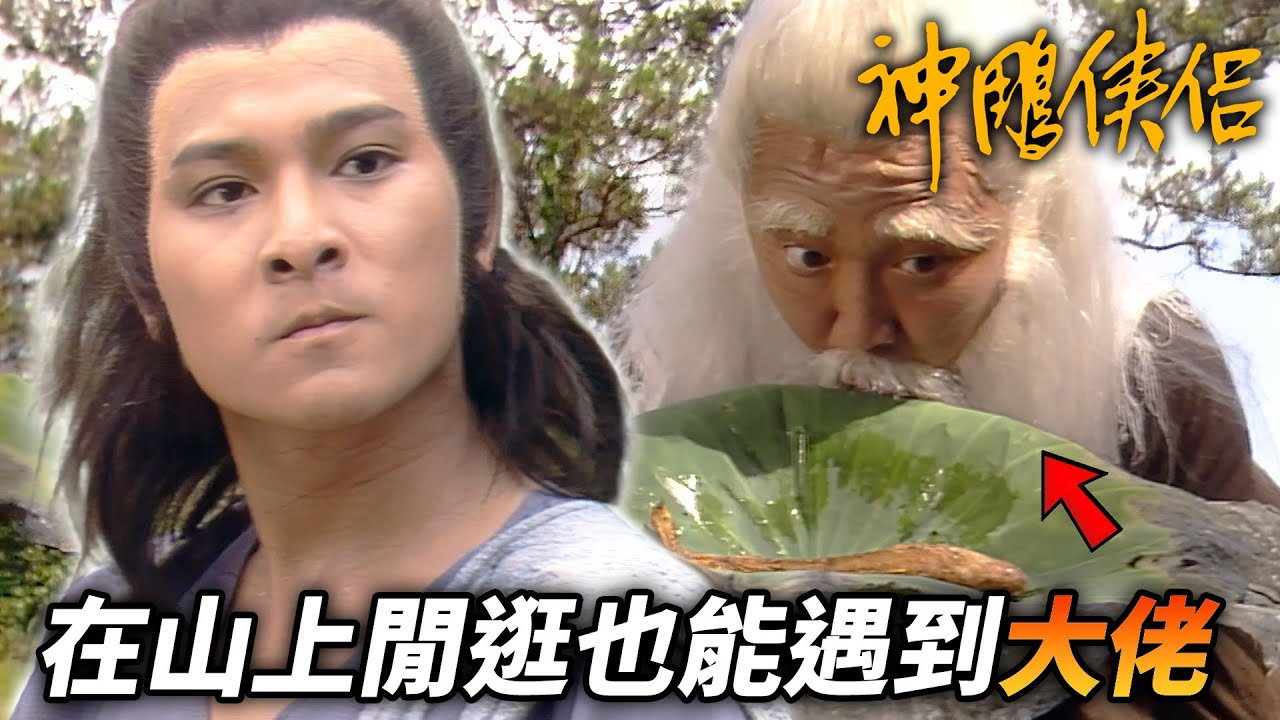 在山上隨便晃一晃竟然也能遇到大佬！？這個大腿太粗了抱住直接就穩了！｜神鵰俠侶｜劉德華｜陳玉蓮｜梁家仁｜歐陽佩珊｜港劇精華