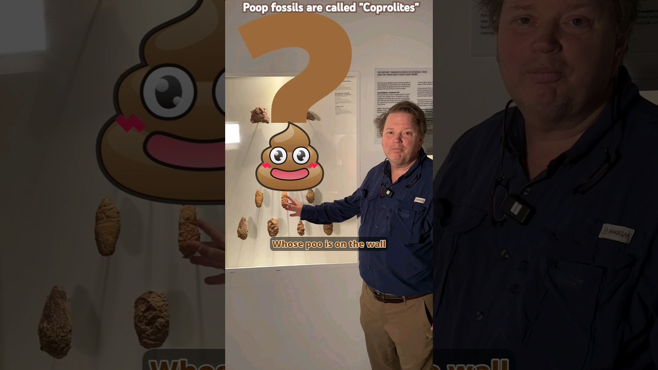 THESE are POOP fossils...#science #dinosaur #paleontology #coprolites