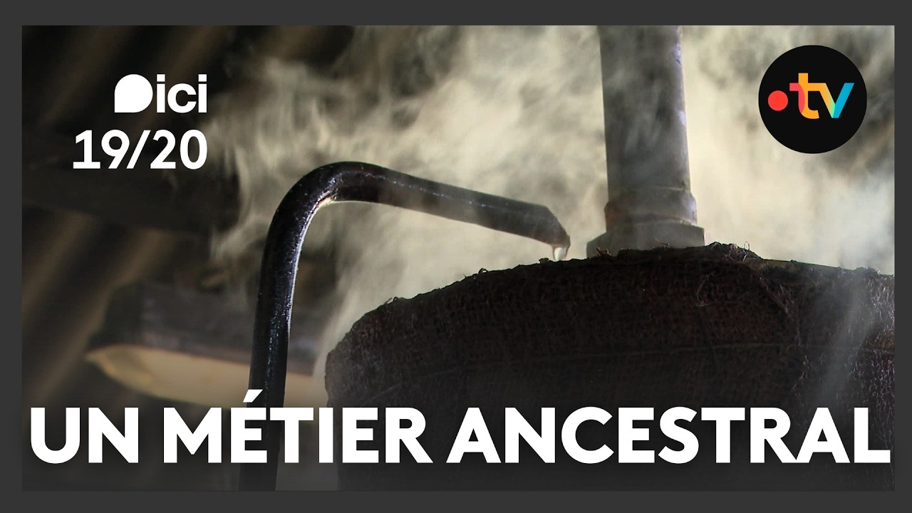 En Vendée, les bouilleurs de cru perpétuent la tradition de l'eau-de-vie