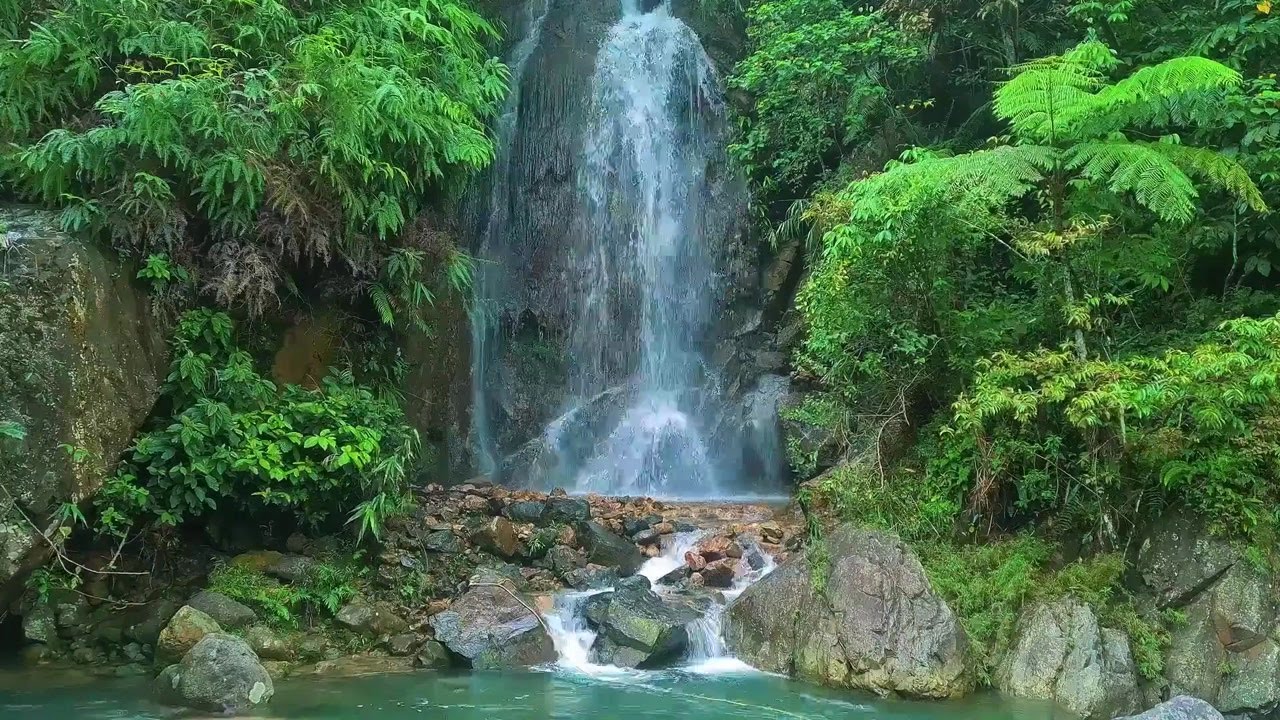 Tranquil River Flow Ambience | Gentle Nature Sounds for Sleep and Inner Calm