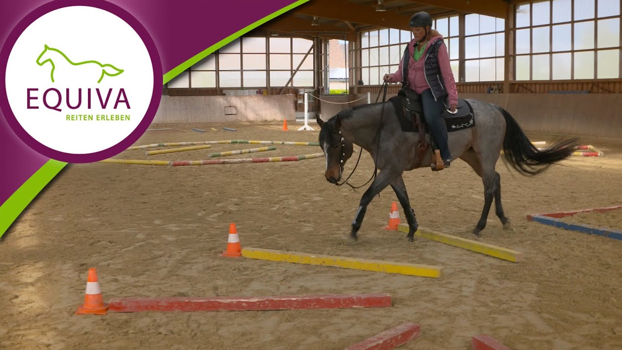 Westernreiten lernen: Der Stangenfächer | Trail