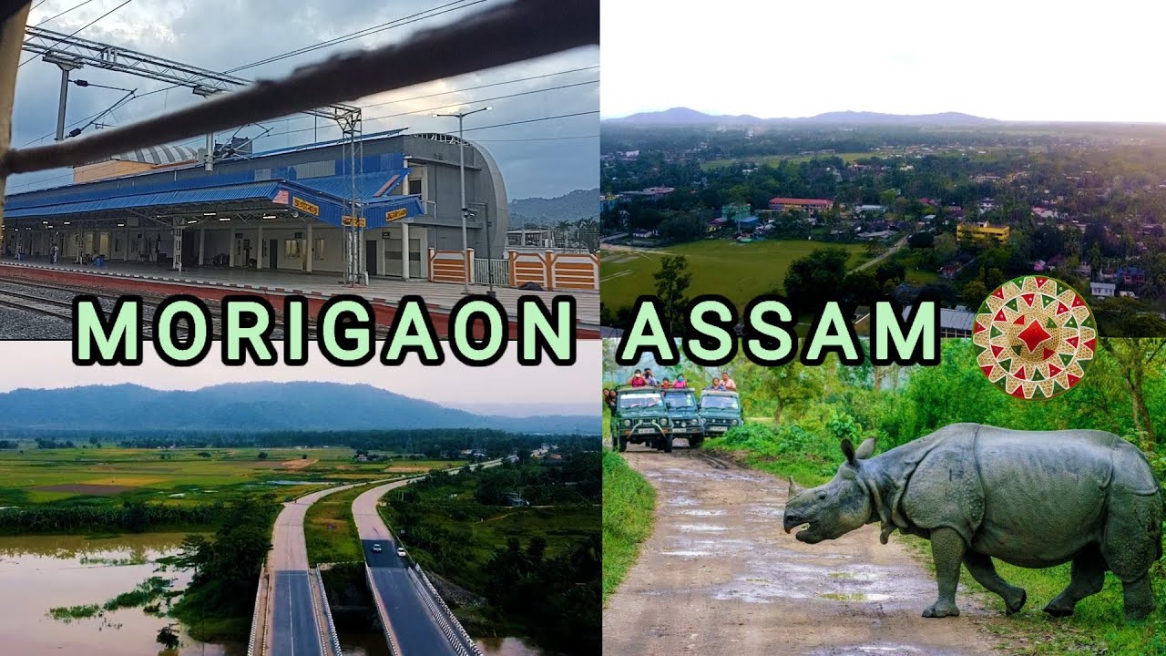 Morigaon Assam | Morigaon town and tourist places | Pobitora wildlife sanctuary