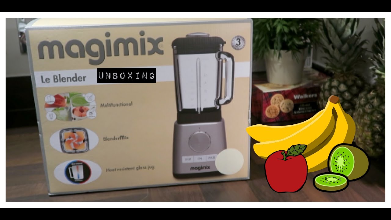 magimix blender (cheaper vitamix)