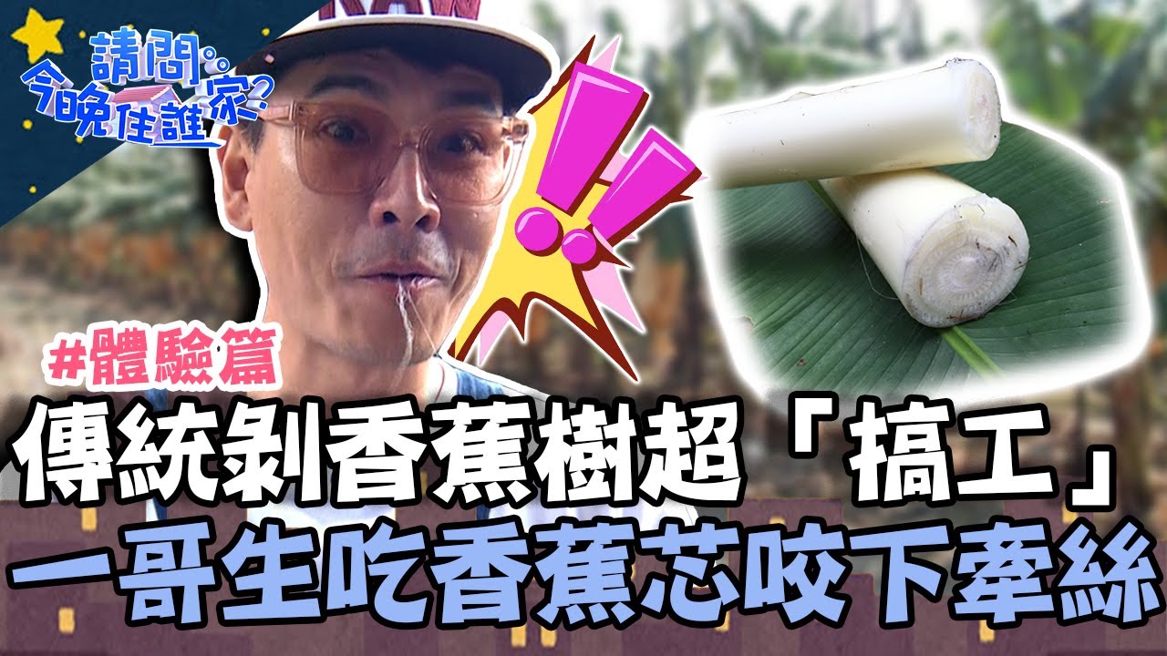 傳統手剝香蕉樹超「搞工」！一哥生吃香蕉芯 咬下牽絲讚：像吃披薩！【請問 今晚住誰家】體驗篇 20220406 EP521 Part1 王傳一 陳漢典