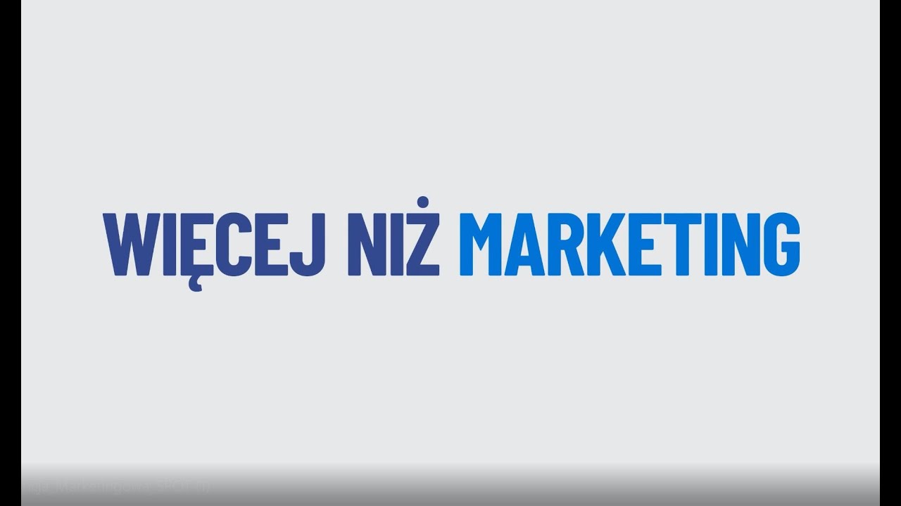 Agencja marketingowa SilverFox | Skuteczny marketing, kt&oacute;ry daje wyniki