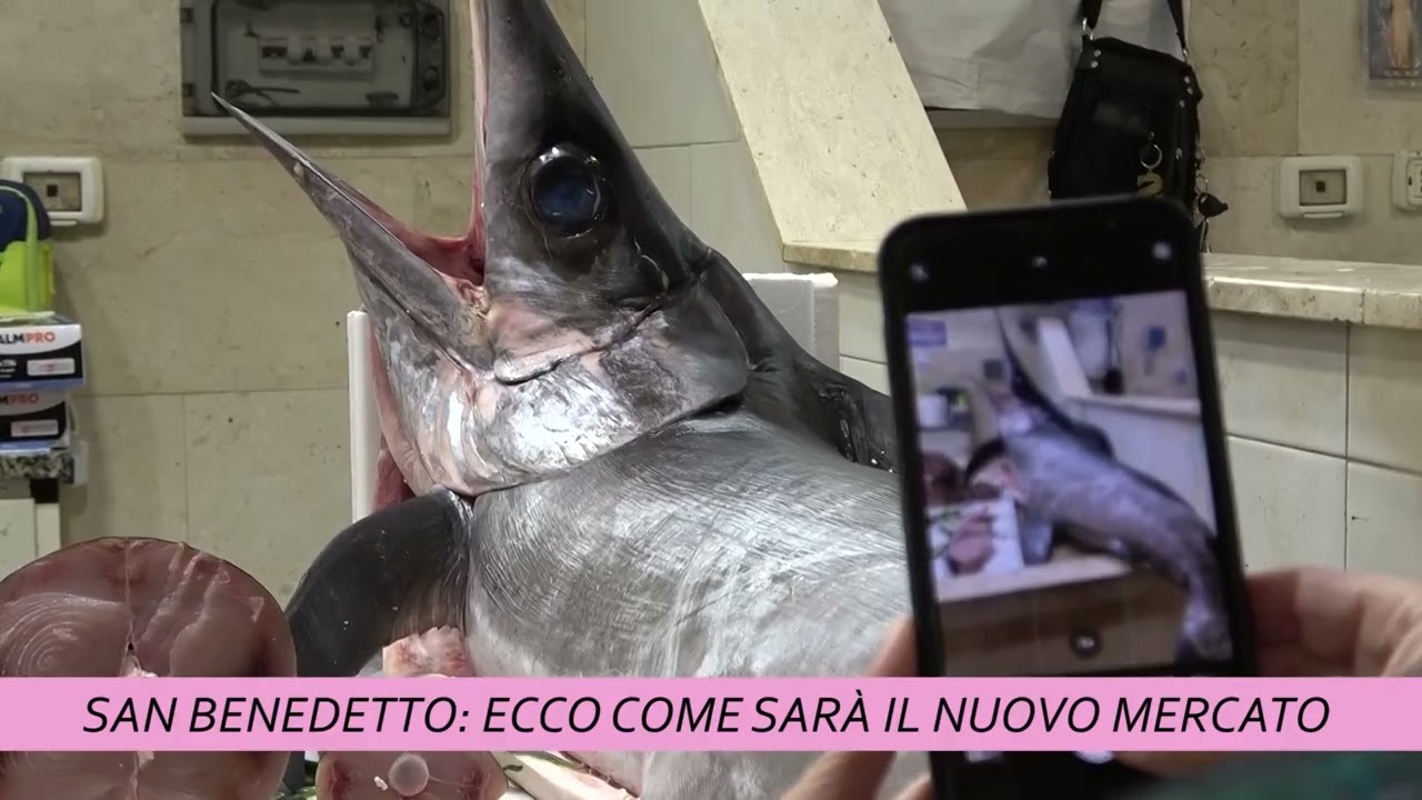 SAN BENEDETTO: ECCO COME SARÀ IL NUOVO MERCATO