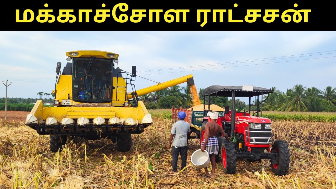 மக்காச்சோள அறுவடை ராட்சசன்|Makkasolam Aruvadai |Corn Harvesting in Tamil | Corn Cultivation in Tamil