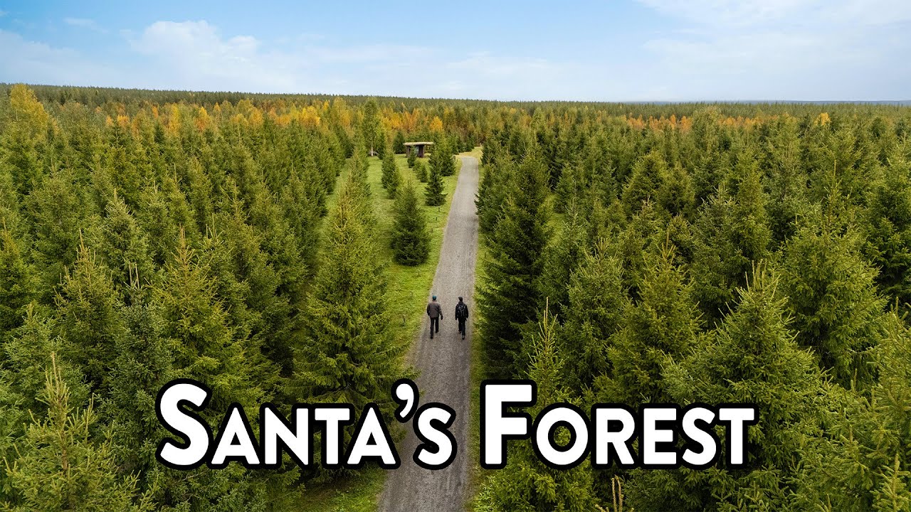 Santa's Forest next to Santa Claus Village in Rovaniemi Lapland Joulupukin metsä Joulupukin Pajakylä