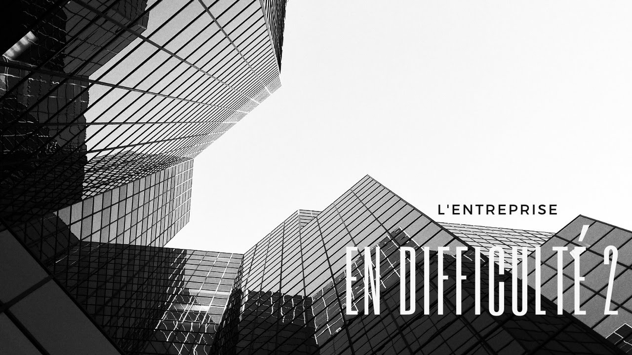 L'entreprise en difficulté N°2