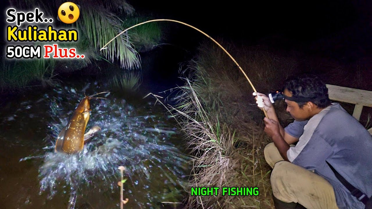 AIR SURUT IKAN LELE BESAR NGUMPUL DIPARIT KECIL INI || MANCING LEMBAT MALAM