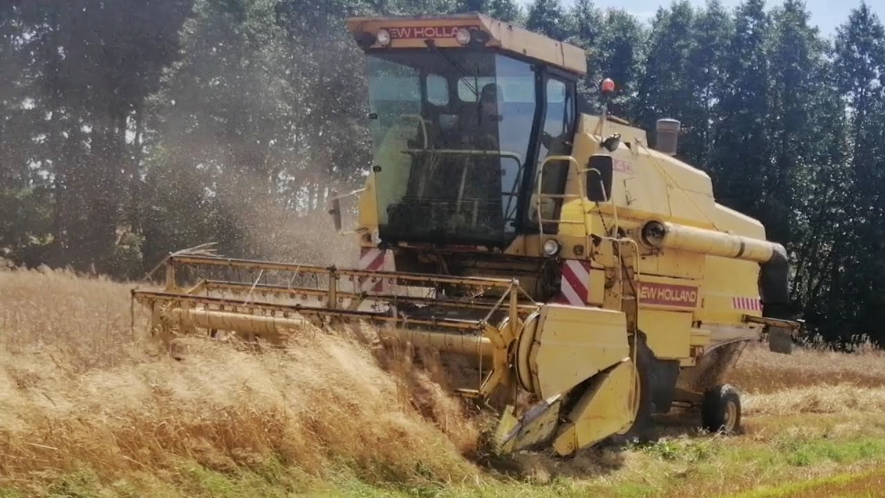 Żniwa pszenicy 2020 🔥 New Holland 8040 ☆ MF 675 I Sound