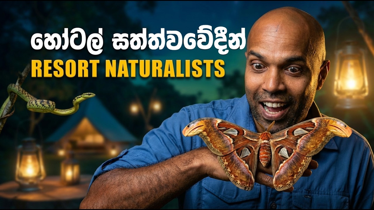 සත්තු සහ සංචාරක කර්මාන්තය Critters & Ecotourism | Dr. Ru Somaweera | #යංසත්තුබලන්න #rugoeswild