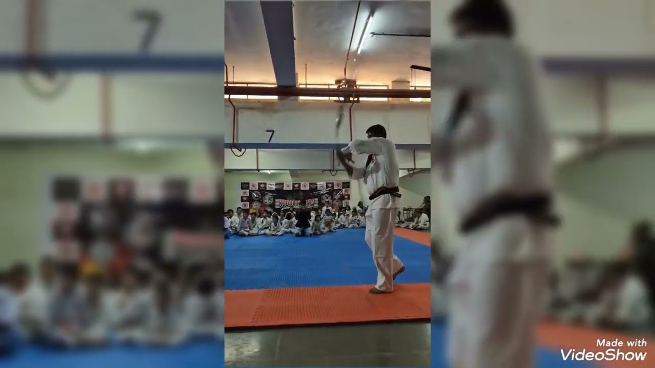 Martial Arts, Different Different Weapon Performance, Highlights(BUDOLIN MMA) Mumbai 