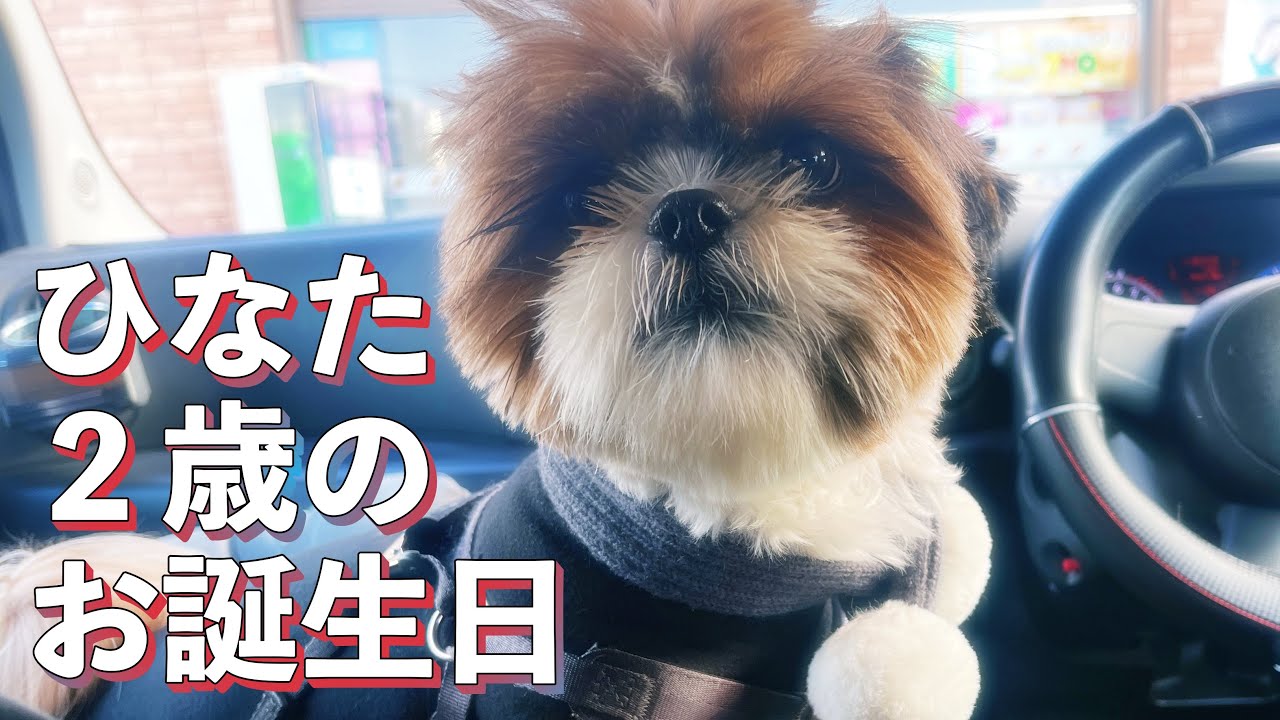第４９話ひなたくん２歳のお誕生日