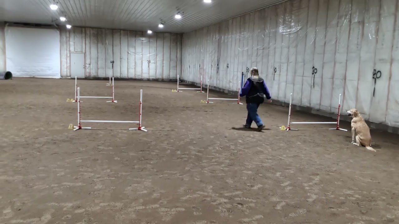 2026 01 17 2 Cactus Jumpers E Marley