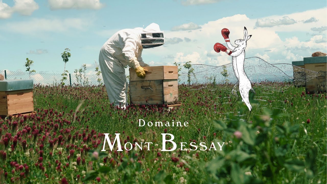 Domaine Mont Bessay - Juliénas - #3 - English Version